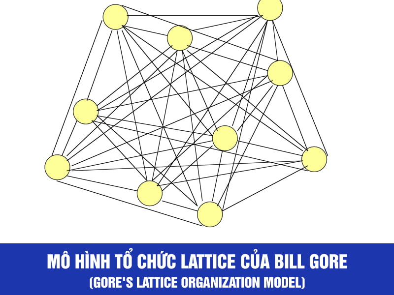 Mô hình tổ chức Lattice của Bill Gore